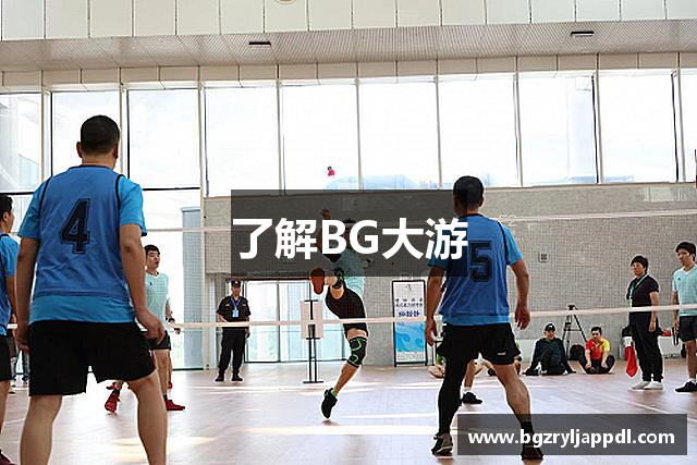 了解BG大游